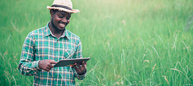 Baroda Farm Loan